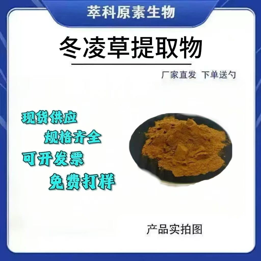 冬凌草提取物501高比例粉