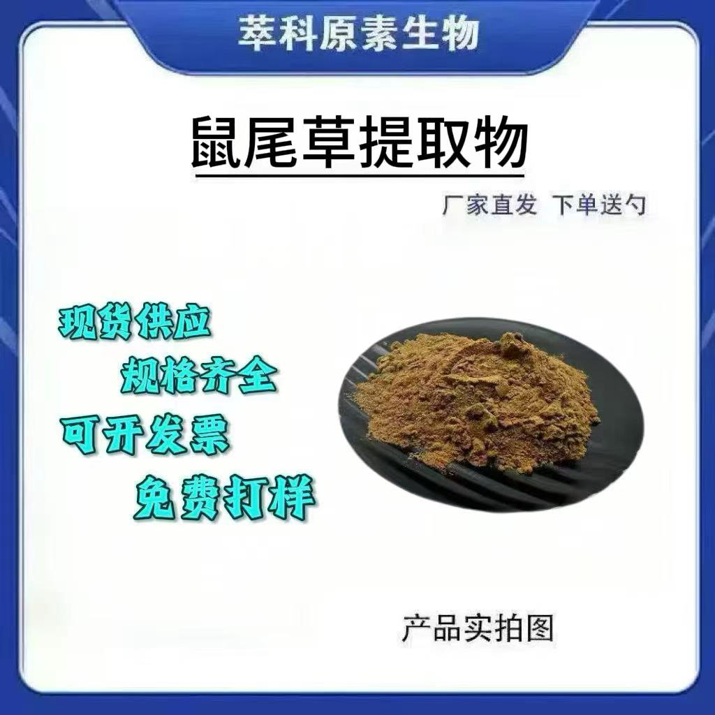 鼠尾草酸501提取粉500g起订