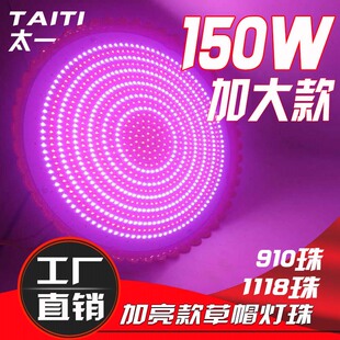 LED生鲜灯猪肉灯鲜肉红光灯 熟食灯水果灯地摊灯大功率吊灯加亮