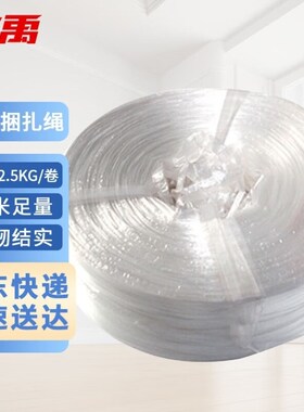 冰禹AA11631工业塑料捆扎绳塑料扎绳打包带打包绳扎丝线白色8cm2.