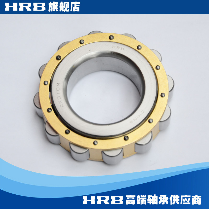 HRB  RN310 M   502310H 哈尔滨轴承无外圈偏心套圆柱滚