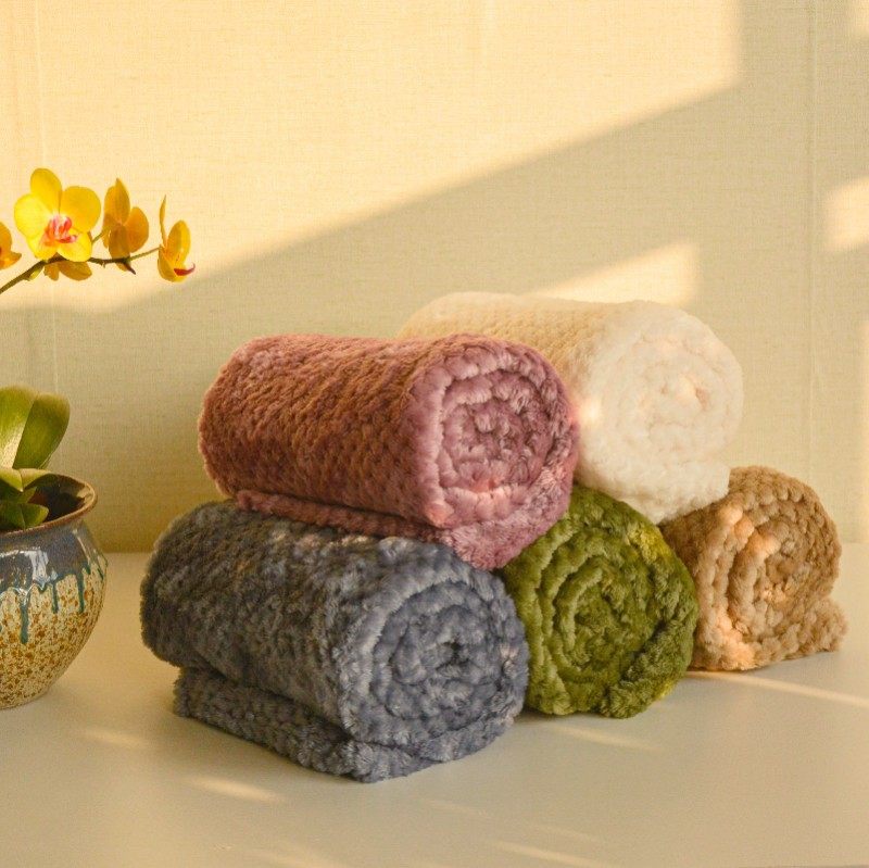 宠物毛毯四季通用保暖菠萝格猫咪垫子猫被子加厚狗狗床垫猫窝睡垫,宠物/宠物食品及用品,猫狗垫子,淘宝优惠券,粉丝福利购,淘宝优惠卷