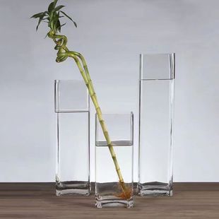 简约水培玻璃花瓶透明方形高款大号插富贵竹竹子银柳水培插花摆件
