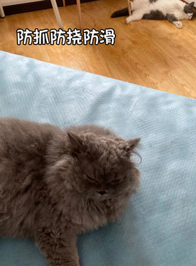 防滑科技布床单铺沙发防水防掉毛防脏猫咪四季用睡觉垫铺床铺狗窝