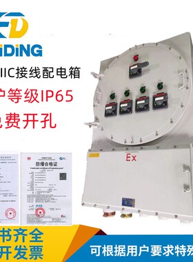 CT6/CT4防爆配电箱接线控制按钮照明插销防爆箱防爆柜