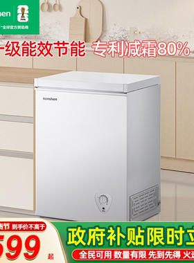 容声100L冰柜商用小型家用冰箱全冷冻冷藏速冻单温节能减霜冷柜