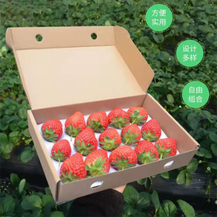草莓包装盒加厚瓦楞纸珍珠棉泡沫内托草莓纸盒一次性快递打包盒子