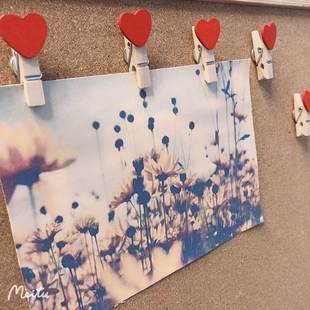 20枚红色木夹图钉夹子美工钉子木夹照片墙留言毛毡板公告栏大头钉