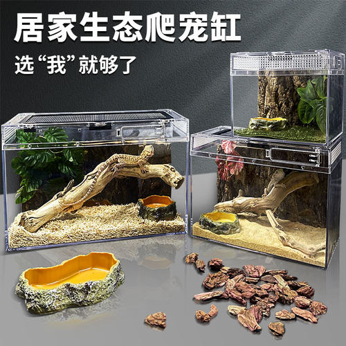 BG生态雨林沙漠爬宠饲养箱角蛙蜘蛛蠍子鬃狮蜥蜴守宫蛇造景饲养盒