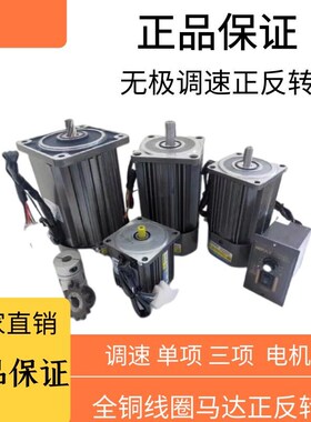 HOULE小型调速电机无级变速马达单相异步电动机电机3v1W