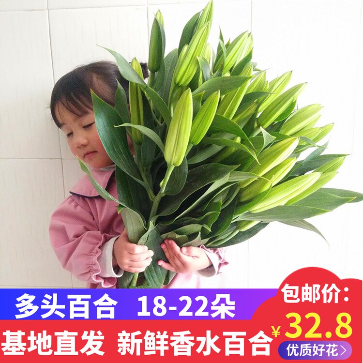 云南昆明多头百合花鲜花直批搭配花束拼团母亲节家用插花基地直发
