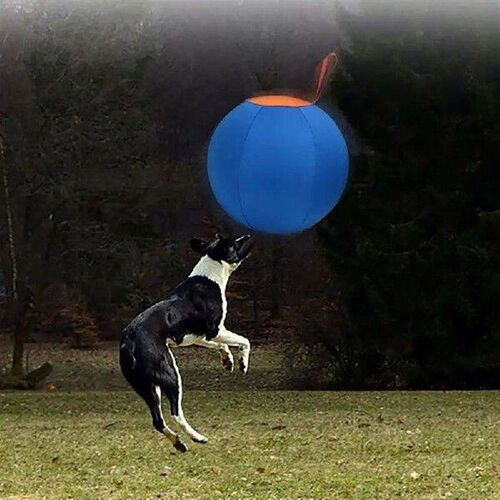 Interactively Dogs Outdoor Inflatable Ball Toy Molar
