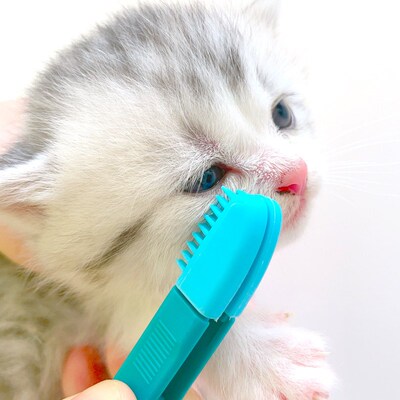 Pet Comb Tear Stain Brush Handheld Cat Eye Wipe Rub Eyes Poo