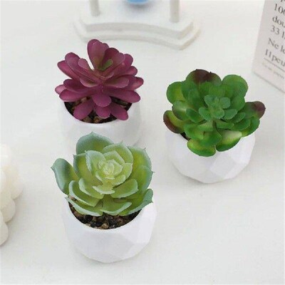 Mini Evergreen Artificial Succulent Cactus Plastic Bonsai