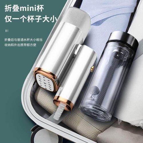220V Handheld Garment Steamer Portable Steam iron Brush
