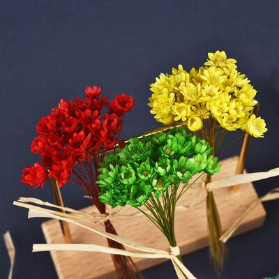 30Pcs Dried Flowers UV Resin Filler Mini Brazil Star Chrysan