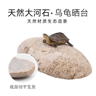 乌龟晒背台天然扁平大石头鹅卵石乌龟缸专用休息躲避爬台造景用品