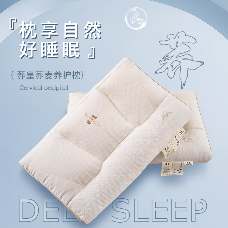 艾洛琳枕头枕芯护颈椎助睡眠荞麦壳低枕硬中枕男侧睡高枕一对家用