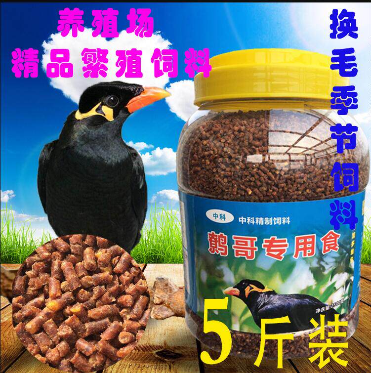 央科鹩哥鸟食八哥饲料营养画眉鸟专用鹩哥饲料5斤亮毛肥膘