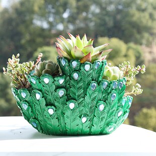 孔雀开屏百鸟之王绿植植物盆客厅阳台柜台摆件桌面装饰多肉肉花盆