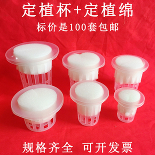 水培定植篮固根器无土栽培蔬菜设备塑料加深植物种植杯加定植海绵