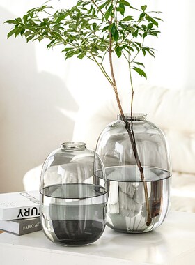 花瓶轻奢高级感玻璃插花水培龟背竹绿植鲜花客厅餐桌装饰摆件