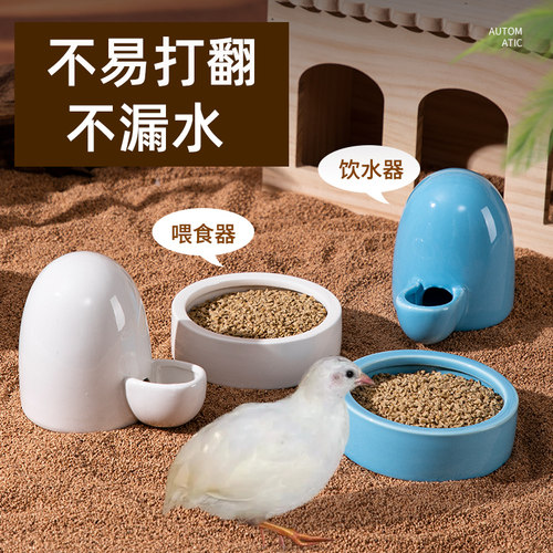 芦丁鸡喂食器自动水壶小鸡雏鸡饲料盆食盒食盆饮水喝水陶瓷喂水器