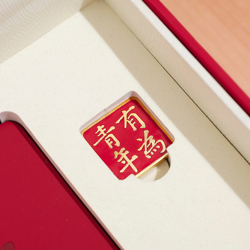 团宝汇中国青年筑史 简装版套装笔记本团史团员学习笔记本团员笔