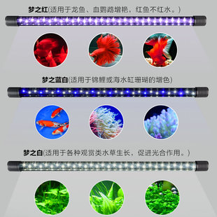 森森鱼缸灯照明灯led 防水潜水灯观赏灯变色灯水族箱龙鱼专用灯管