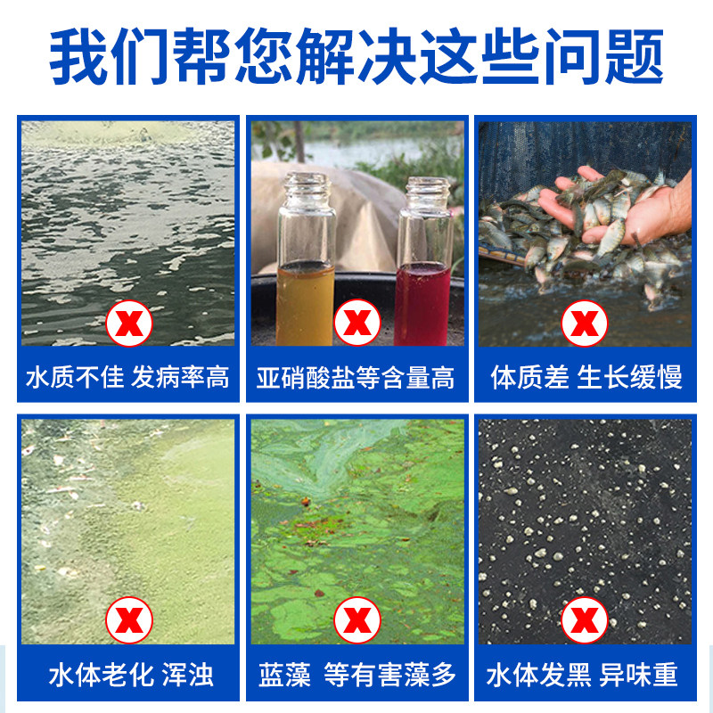 菌酶生物底改颗粒芽孢分解底改王净水质降氨氮去黑水除臭水产养殖