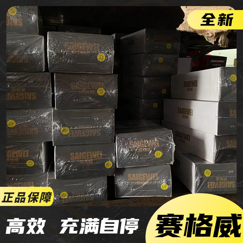赛格威电动车充电器充满自停48V60V72V铅酸三孔全智能断电充电器
