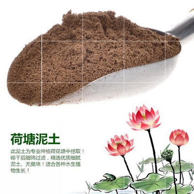 纯正河塘土荷塘泥 营养液营养土水生睡莲花卉碗莲荷花土