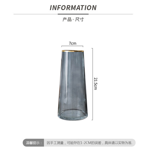 北欧创意轻奢玻璃花瓶透明描金客厅水养鲜花插花干花网红花瓶摆件