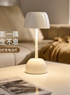 德国柏曼充电台灯 卧室床头儿童护眼灯插电两用paulmann