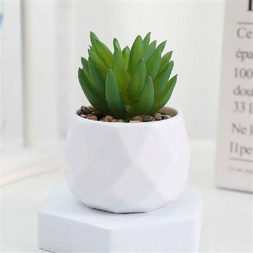 Mini Evergreen Artificial Succulent Cactus Plastic Bonsai