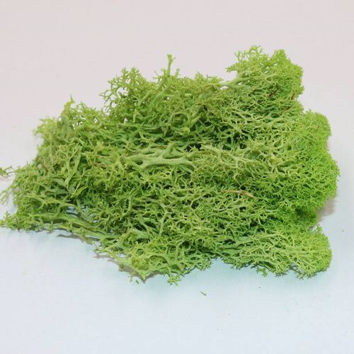 Yunnan Immortal Flower Dried Flowers, Impurity-free Immortal