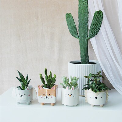 Cute Hedgehog Rabbit Ceramic Flowerpot Succulent Planter