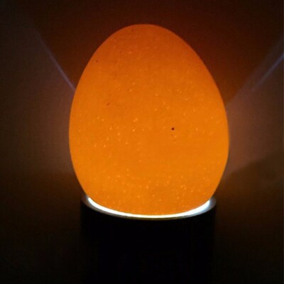 1 Pcs Incubator Eggtester Egg Candling Lamp 9 LED Super Cold
