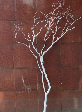 干树枝干枝干树白色枯树枝仿真艺术假树造型树树枝装饰仿真珊瑚枝