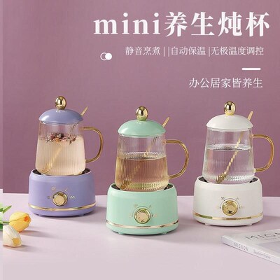600ml Multifunctional Mini Health Pot Electric Stew Cup Tea