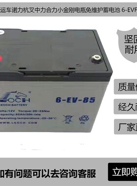 电动搬运车诺力杭叉中力合力小金刚电瓶免维护蓄电池6-EVF-65/80
