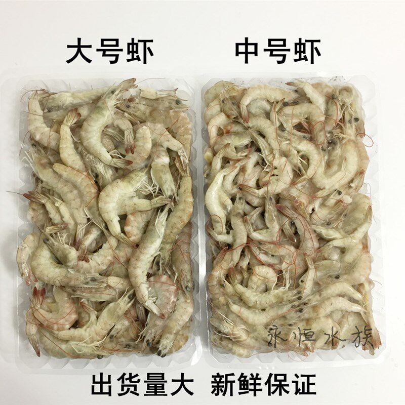 冷冻泥鳅段鱼饲料龙鱼虎鱼食物新鲜速冻淡水小河虾虾仁虾段麦穗鱼