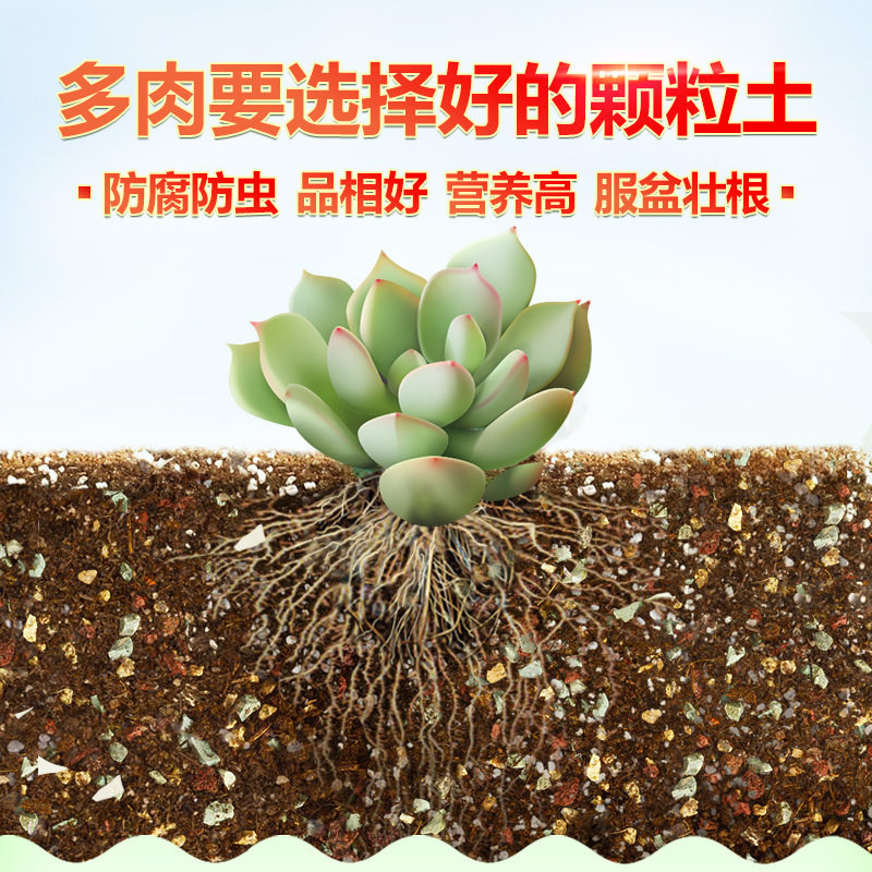 德沃多多肉土泥炭种植土盆栽植物多肉颗粒阡陌土兰花专用火山岩