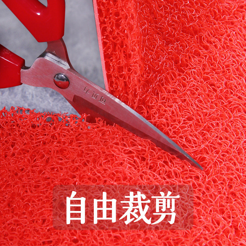可裁剪塑料丝圈入户门垫 进门防滑地垫宾馆门口垫子定制除尘地毯