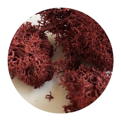 30G Lichen Moss cluster for bushes,model trees foliage scale