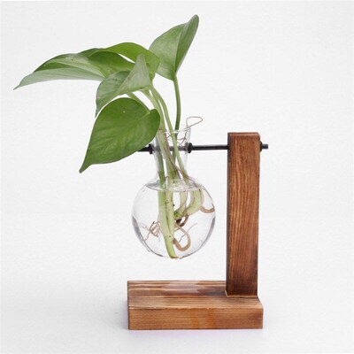 *Hydroponic Desktop Plant Vase Vintage Glass Bonsai Flower P