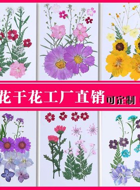 Dried Flower Baffle  Material Bag Face Embossed Photo Leaf P