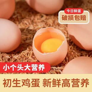 蛋乡郎农场初生蛋40g/枚小个头高营养柴鸡蛋早餐孕妇蛋