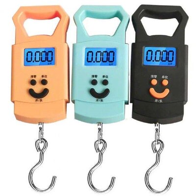 Fishing Scale Digital Accurately Weighing Mini Electronic