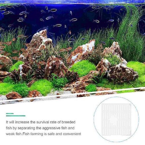 Fish Tank Isolation Board Plate Tool Divider Aquarium Clear